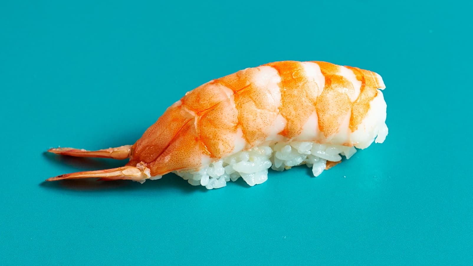 Scampi, 2 biter